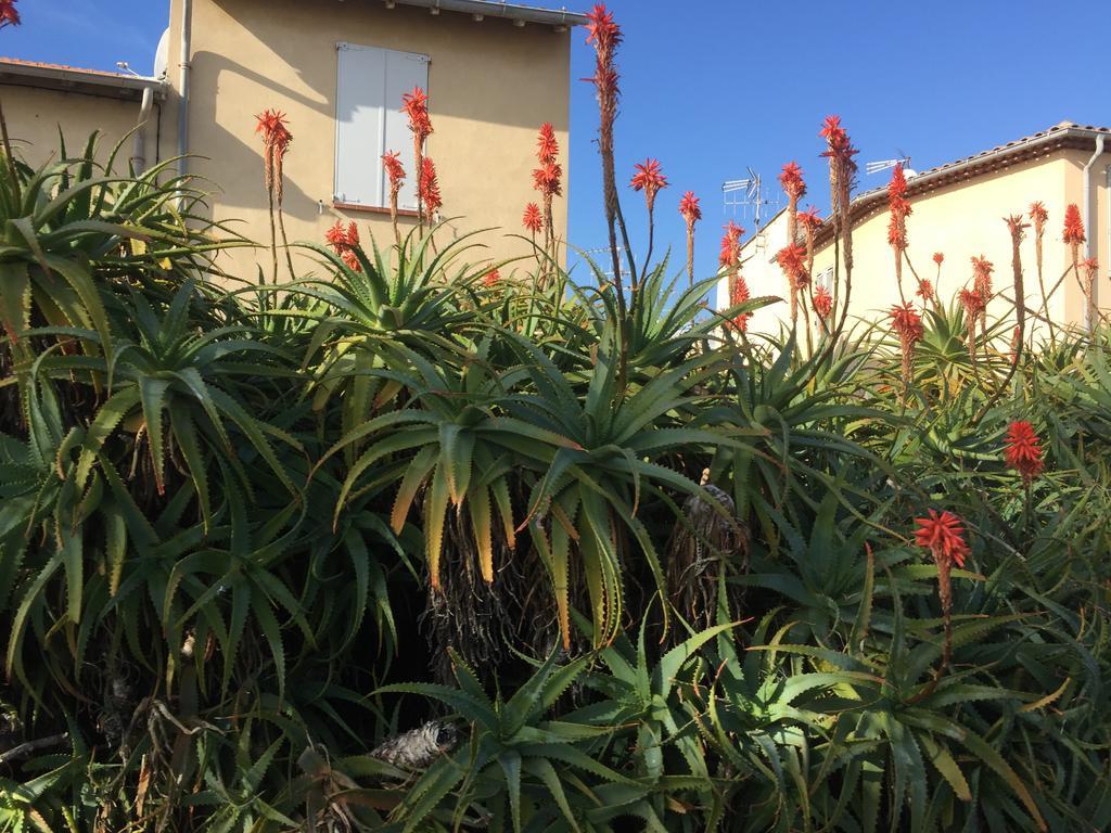 Le Melody Apartment Antibes Exterior foto
